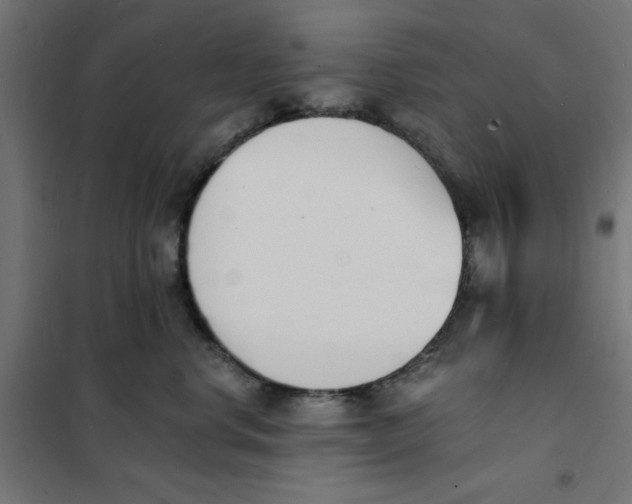 X0000101670668200808071046