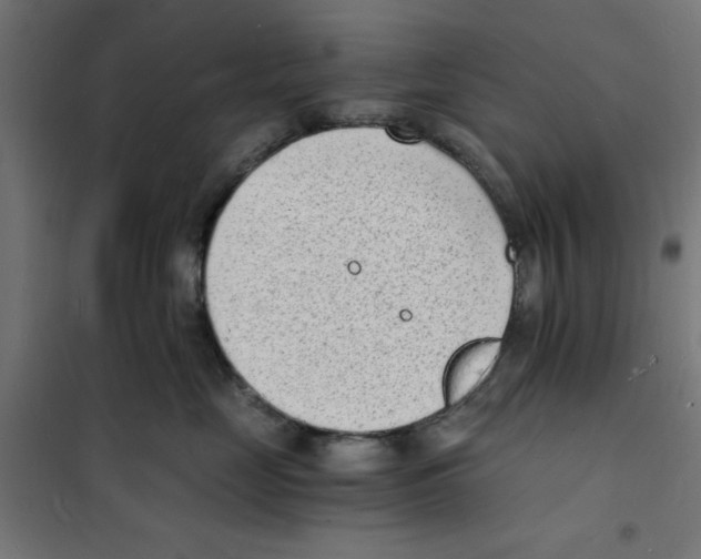 X0000101670669200808071046