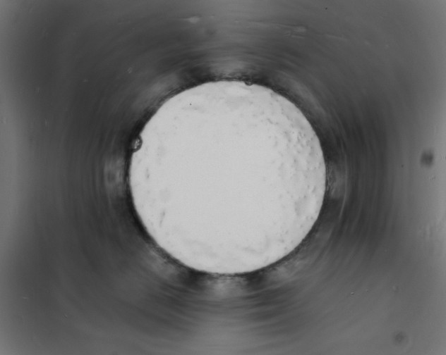 X0000101670670200808071046