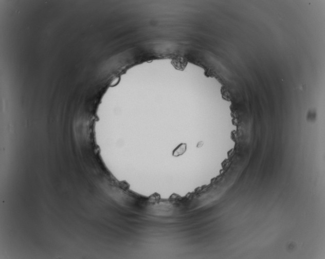 X0000101670671200808071046