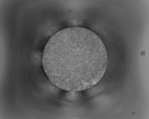 X0000101670672200808071046