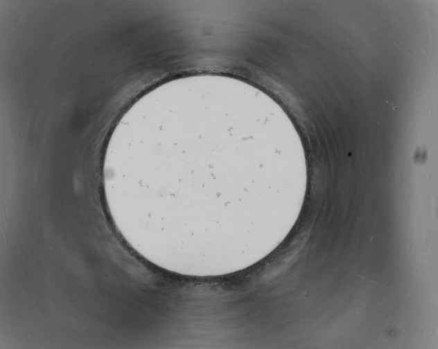 X0000101670673200808071046