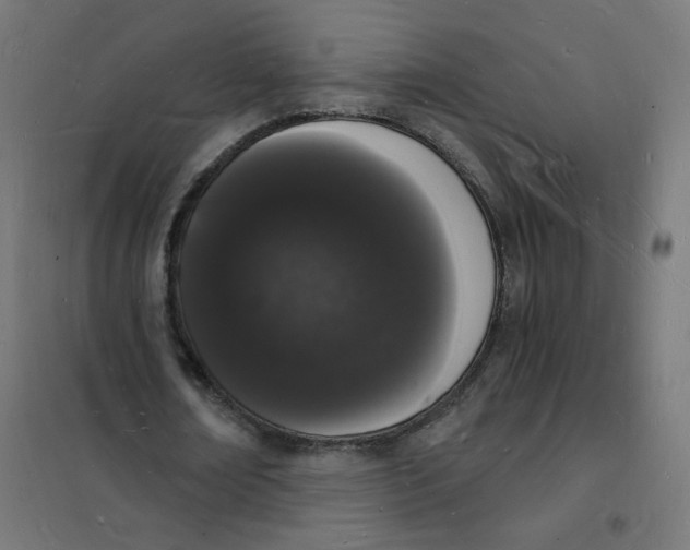 X0000101670674200808071046