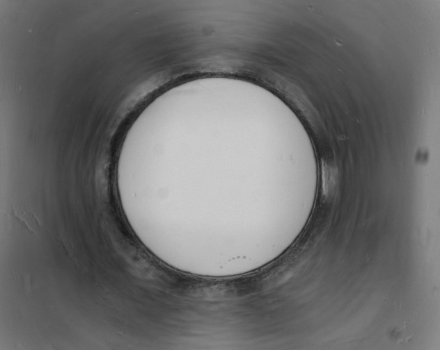 X0000101670675200808071046