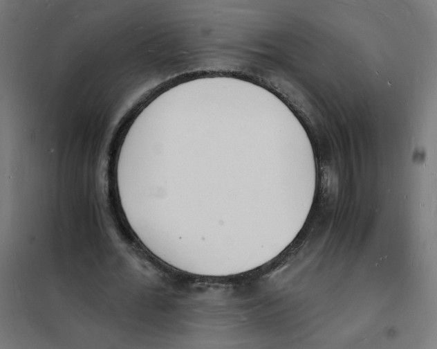X0000101670676200808071046