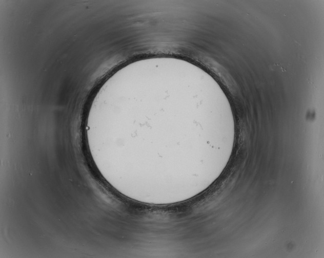 X0000101670677200808071046
