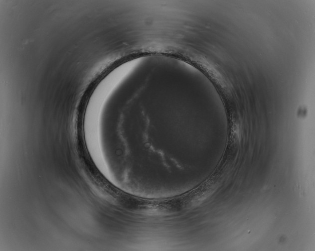 X0000101670678200808071046