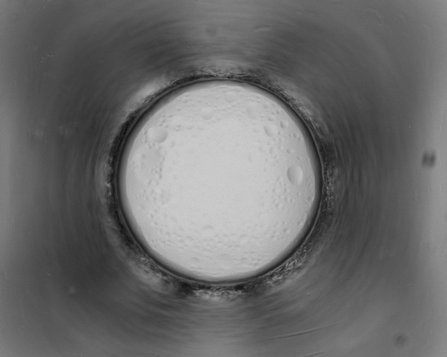 X0000101670679200808071046