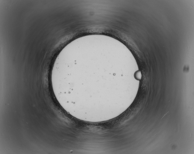 X0000101670681200808071046