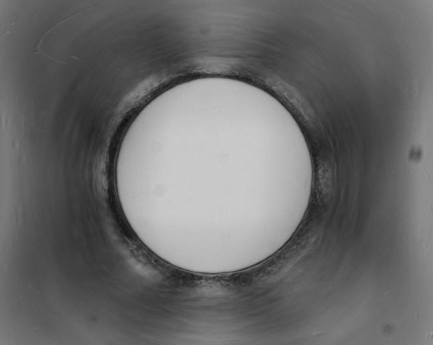 X0000101670682200808071045