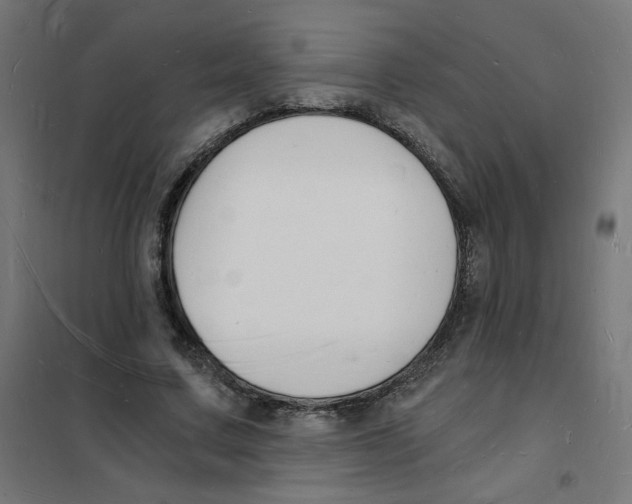 X0000101670683200808071045