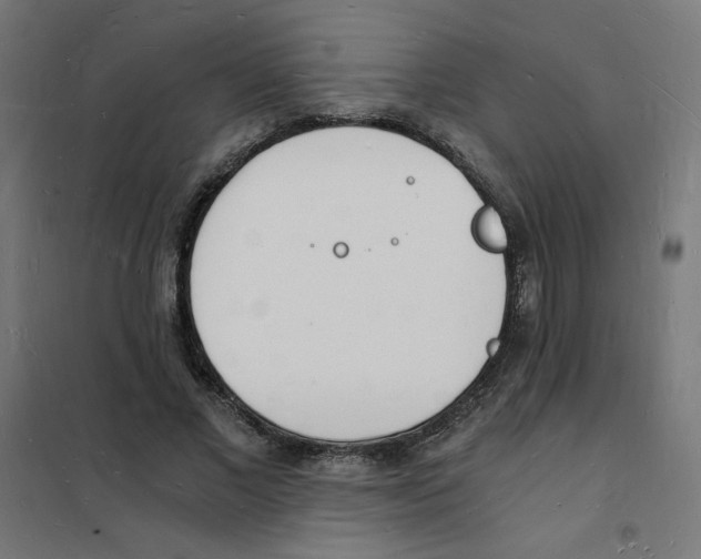 X0000101670685200808071045