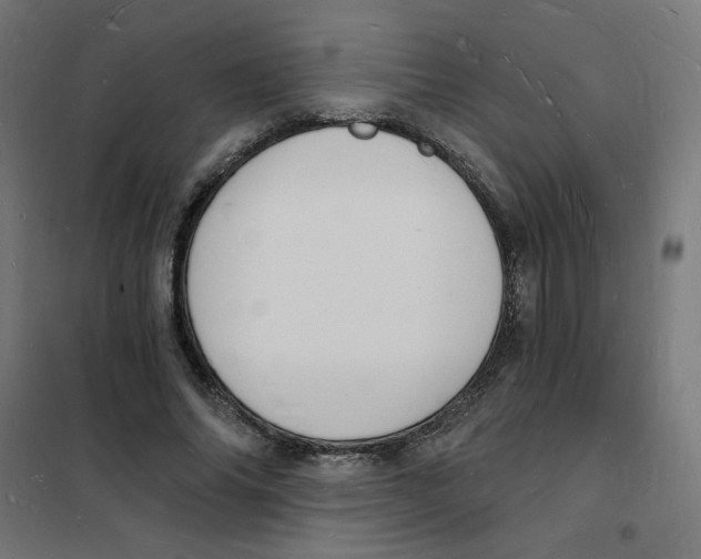 X0000101670686200808071045
