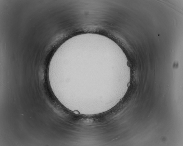 X0000101670687200808071045