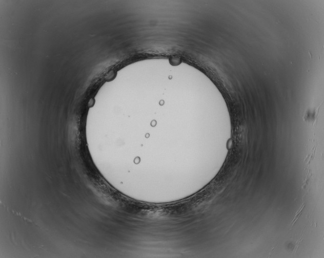 X0000101670688200808071045