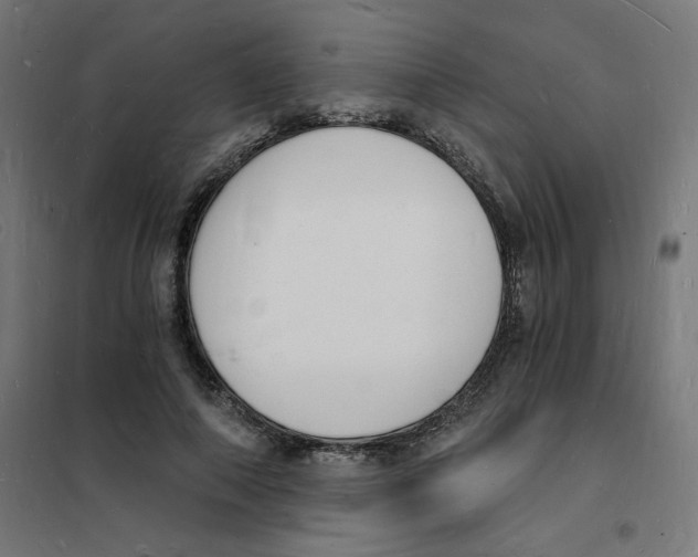 X0000101670690200808071045