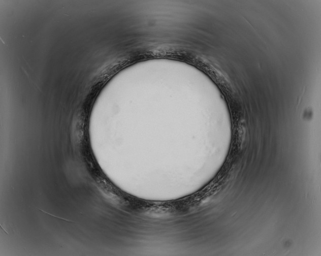 X0000101670691200808071045