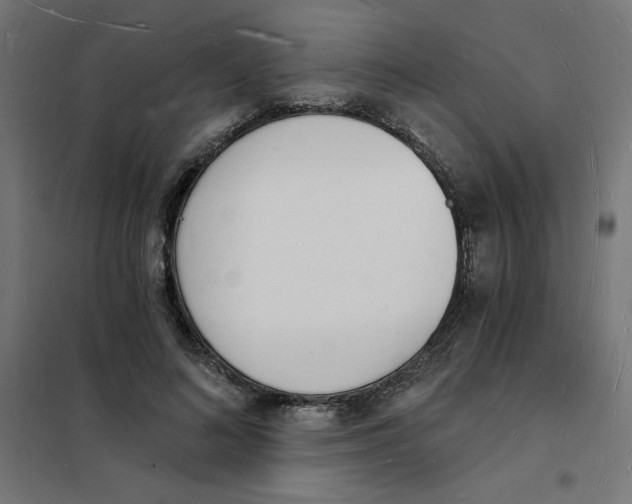 X0000101670692200808071045