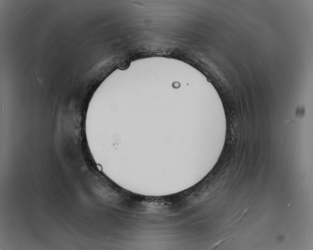 X0000101670693200808071045