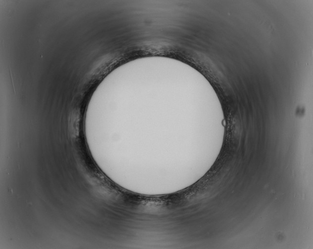 X0000101670694200808071045
