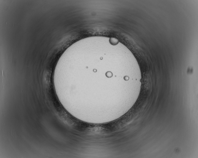 X0000101670695200808071045