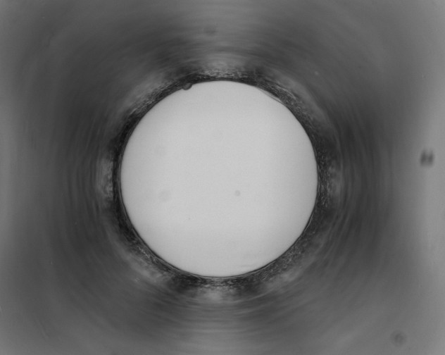 X0000101670696200808071045