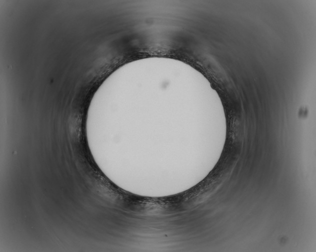 X0000101670697200808071045