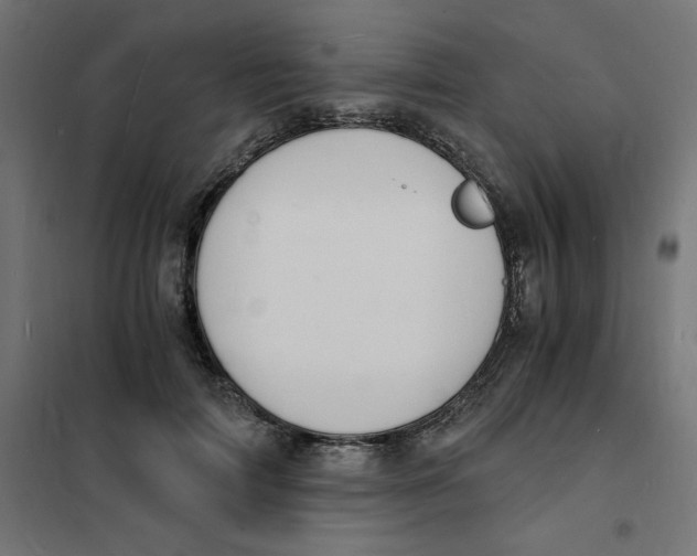 X0000101670698200808071045