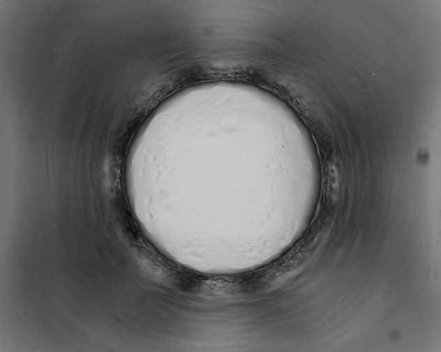 X0000101670699200808071045