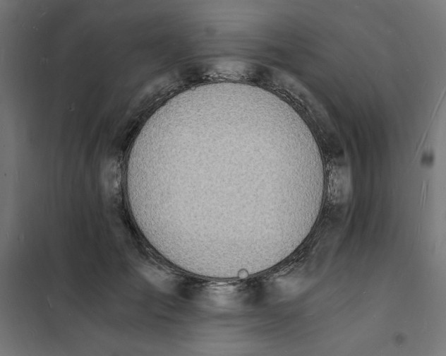 X0000101670701200808071045
