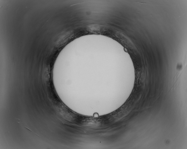 X0000101670702200808071045