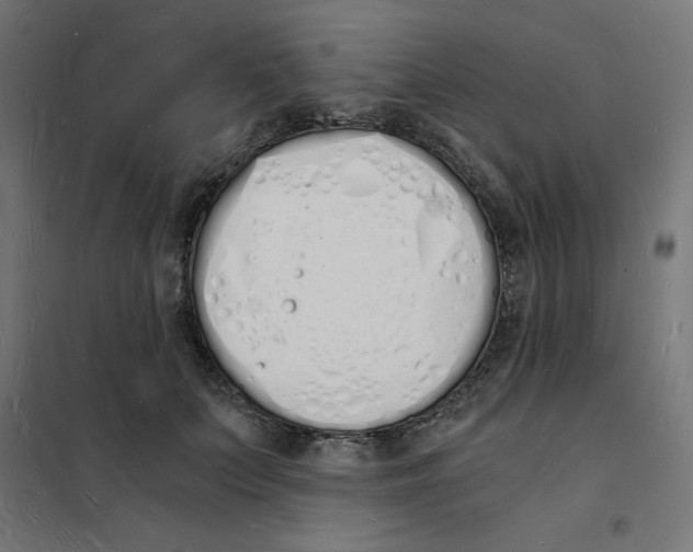 X0000101670703200808071045