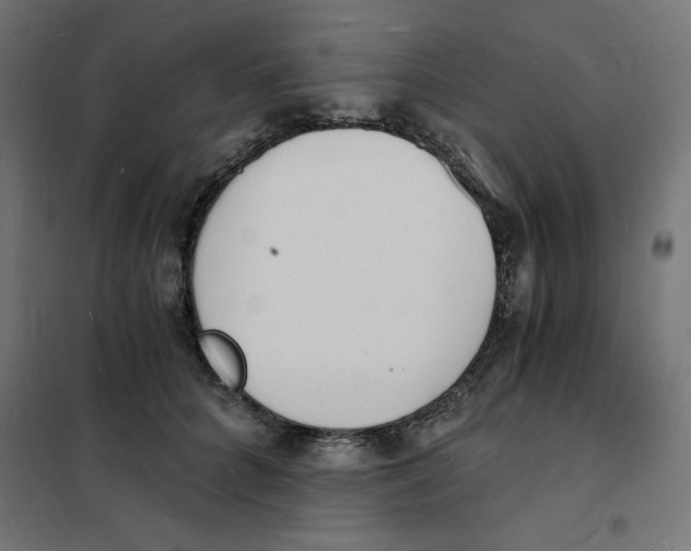 X0000101670704200808071045