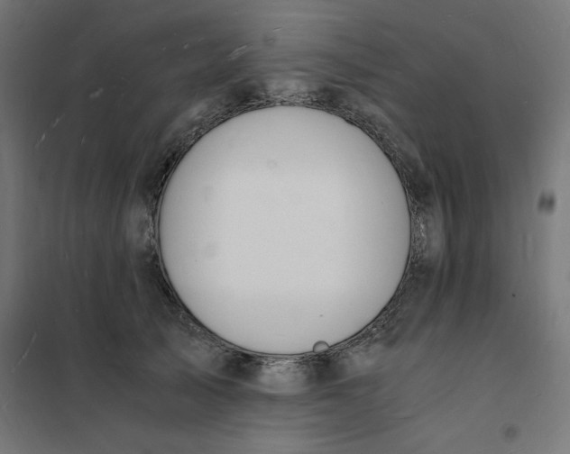 X0000101670705200808071045