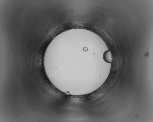 X0000101670706200808071045