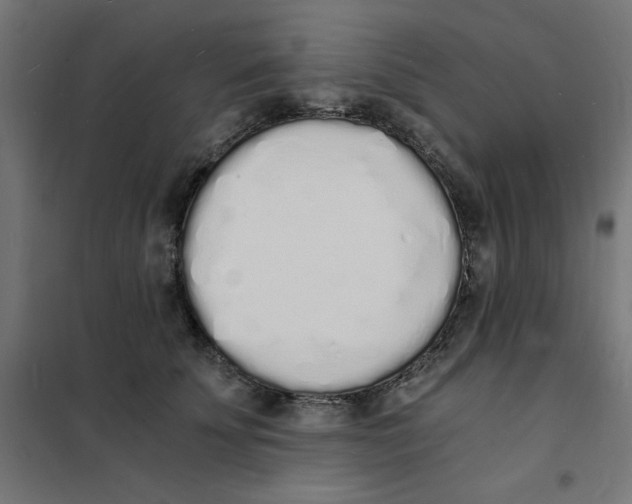 X0000101670707200808071045