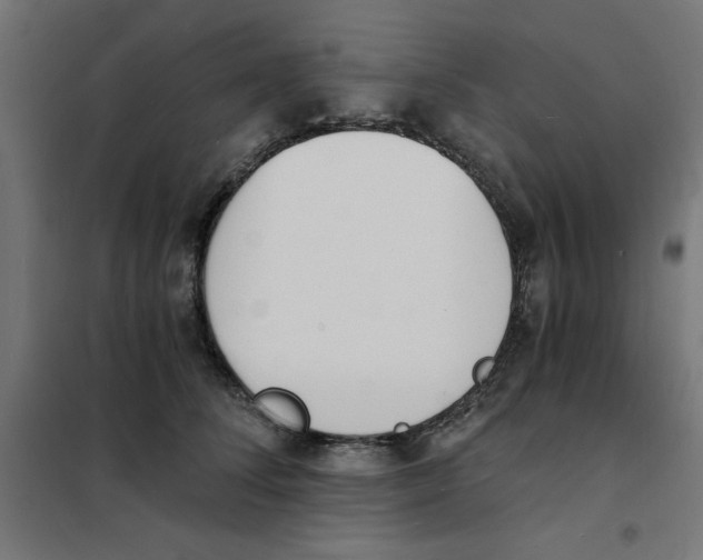 X0000101670708200808071045