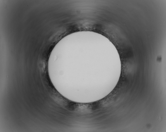 X0000101670709200808071045