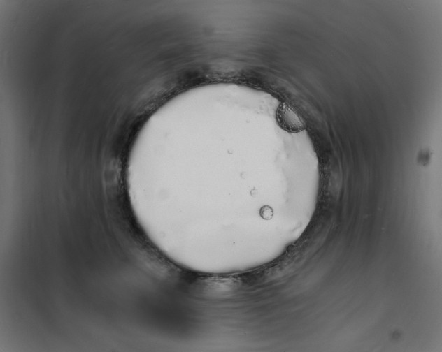 X0000101670711200808071045