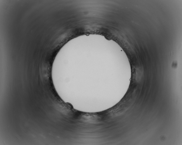 X0000101670712200808071045