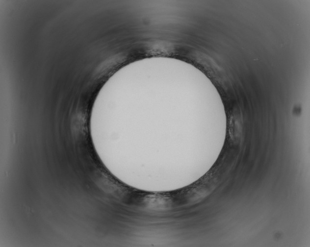 X0000101670714200808071045