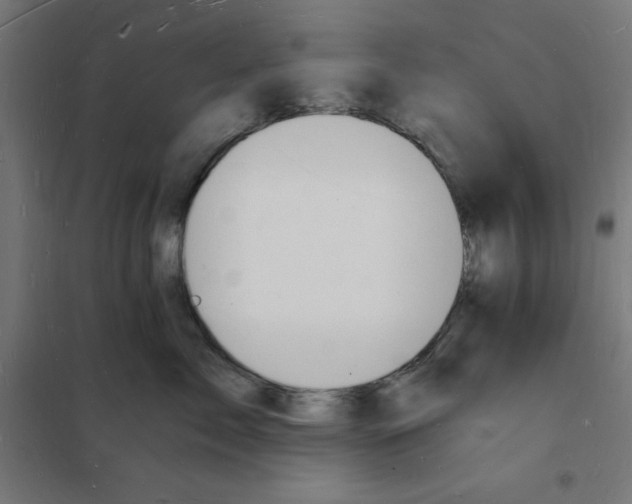 X0000101670717200808071045