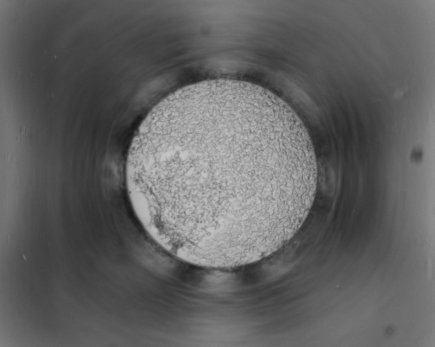 X0000101670718200808071045