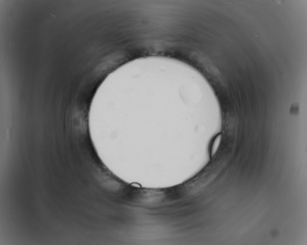X0000101670719200808071045