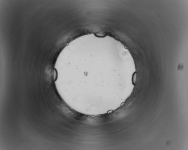 X0000101670720200808071045