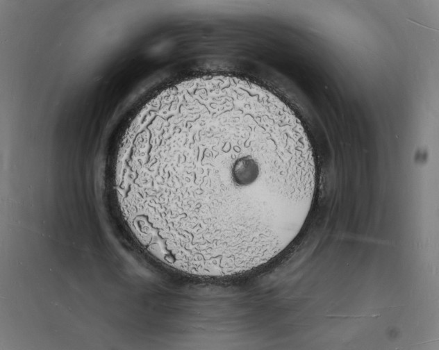 X0000101670722200808071044