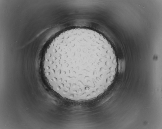 X0000101670723200808071044