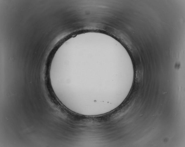 X0000101670724200808071044