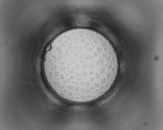 X0000101670725200808071044