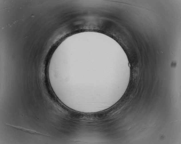 X0000101670727200808071044